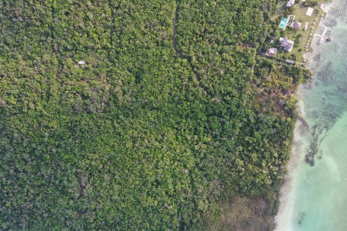 DJI_0495.jpeg