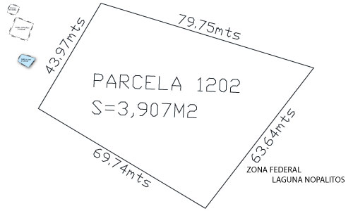 1202P.jpeg
