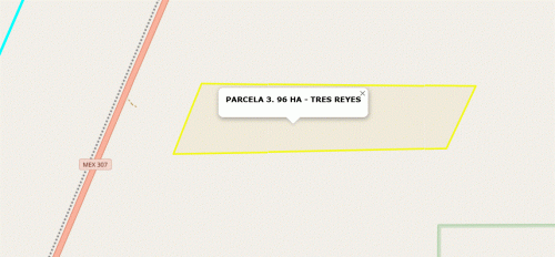 3REYES.gif