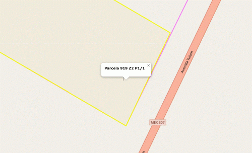 919-LOCATED.gif