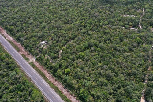 DJI_0429.jpeg