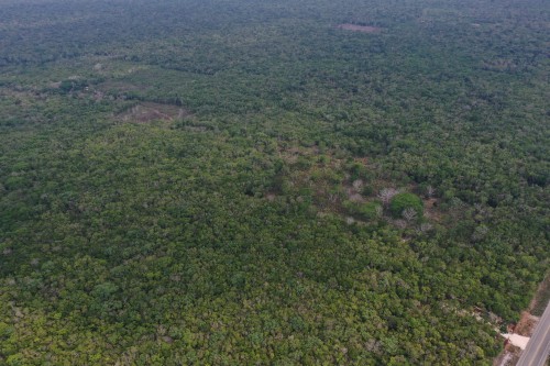 DJI_0444.jpeg