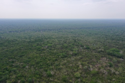 DJI_0477.jpeg