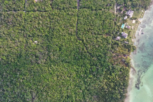 DJI_0496.jpeg
