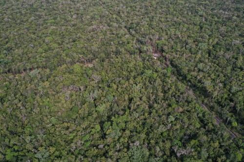 DJI_0625.jpeg