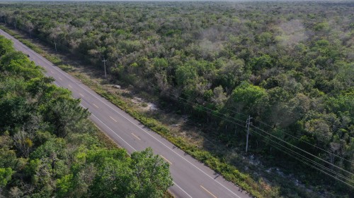 DJI_0961.jpeg