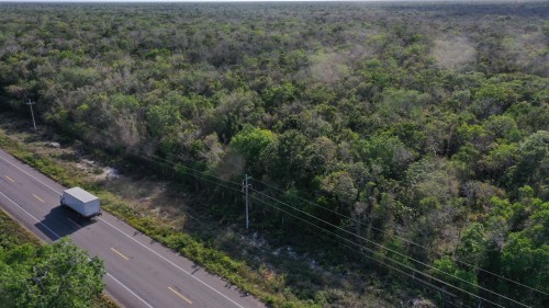 DJI_0962.jpeg