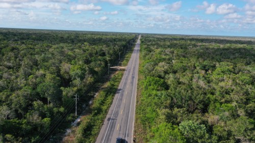 DJI_0963.jpeg