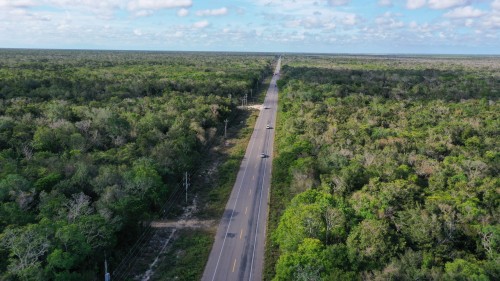 DJI_0965.jpeg