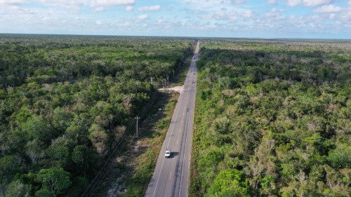 DJI_0966.jpeg