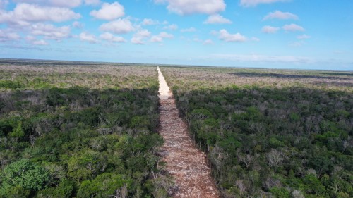 DJI_0968.jpeg