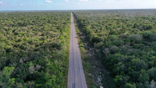 DJI_0973.jpeg