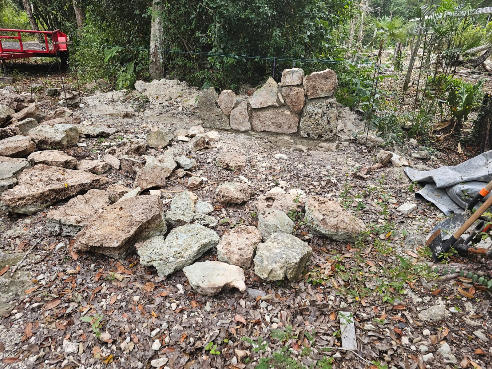 Stonework in jungle setting